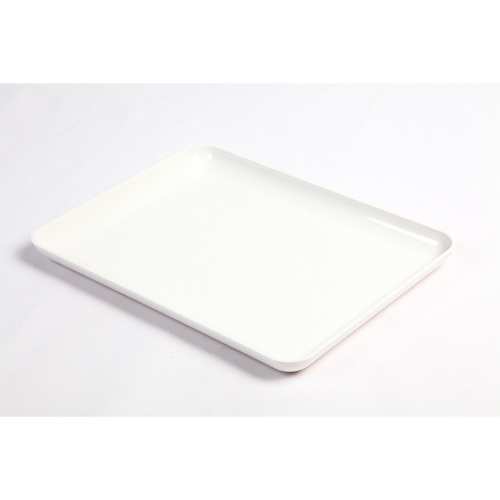 Vassoio per esposizione macelleria in Policarbonato 28x21x2cm